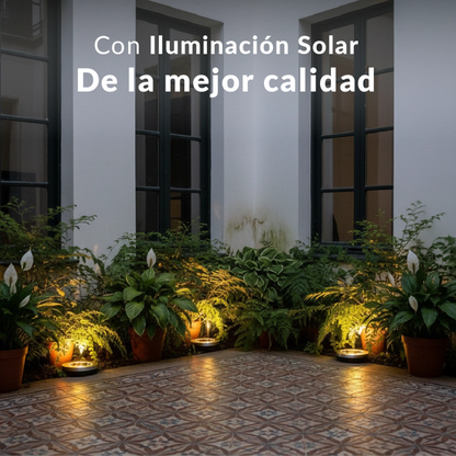 Disco Led Estaca ™Solar Powered x4u.
